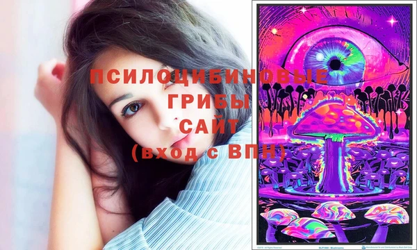 спайс Лабытнанги