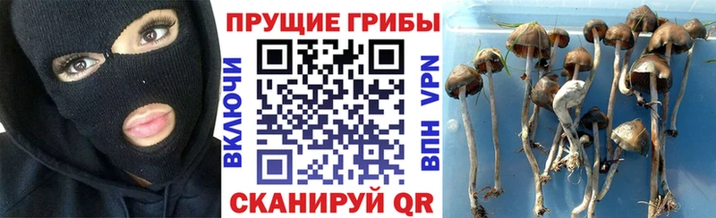 магазин продажи Ухта MEGA сайт Галлюциногенные грибы Psilocybine cubensis