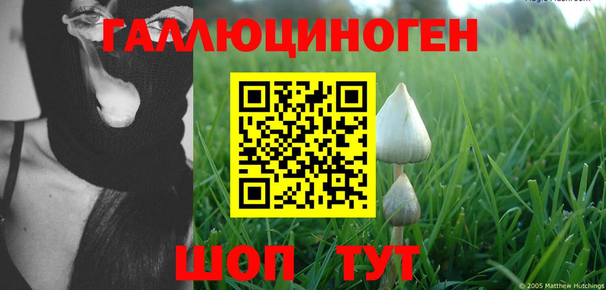 Ухта  Галлюциногенные грибы ЛСД  Вход с VPN 
