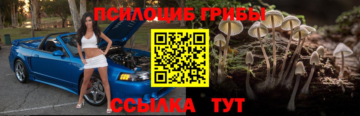 Галлюциногенные грибы мухоморы Ухта